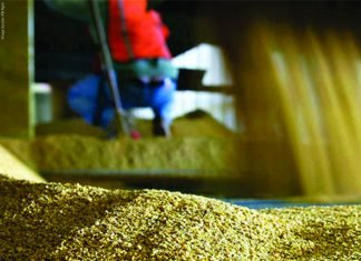 ICAR-CIBA and BRC Marine Collaborate to Evaluating Rice DDGS in Shrimp Feed