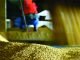 ICAR-CIBA and BRC Marine Collaborate to Evaluating Rice DDGS in Shrimp Feed