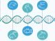 Advancing Nutrigenomics in Livestock Nutrition