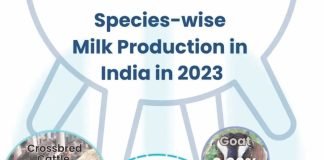 Self-Sufficient Indian Dairy Sector: A Decade Ahead