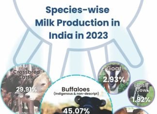 Self-Sufficient Indian Dairy Sector: A Decade Ahead