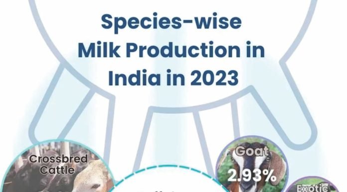Self-Sufficient Indian Dairy Sector: A Decade Ahead