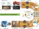 Technology Transfer of Insect Protein for Fish Feed