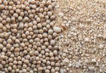 More Nutrients Don’t Have to Cost More – NOVUS at VIV Asia