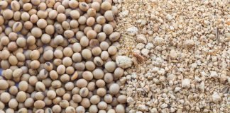 More Nutrients Don’t Have to Cost More – NOVUS at VIV Asia