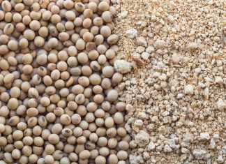 More Nutrients Don’t Have to Cost More – NOVUS at VIV Asia