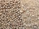 More Nutrients Don’t Have to Cost More – NOVUS at VIV Asia