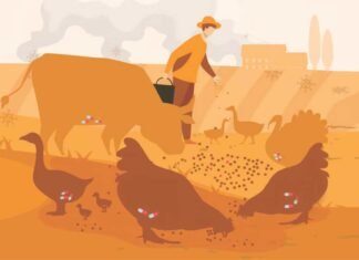 AMR and the Future of Animal Agriculture in India: Experts Weigh In