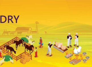 Livestock Innovations in India’s Growing Startup Landscape