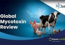 Selko research addresses global and regional mycotoxin challenges, and hosts Young Scientists Format World Mycotoxin Forum 15th Conference