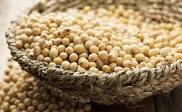 SOPA Seeks Protection for Domestic Soyabean Farmers Amid US-India Trade Talks