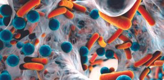 Addressing AMR: The Urgent Need of the Hour