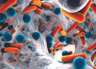 Addressing AMR: The Urgent Need of the Hour