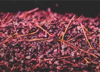 Can Grape Pomace Replace Antibiotics in Poultry Production?