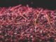 Can Grape Pomace Replace Antibiotics in Poultry Production?