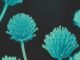 2024 Global Mycotoxin Review Findings by Selko