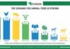 Over One-Third of Animal Diets in the U.S. Comprise Circular Ingredients