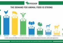 Over One-Third of Animal Diets in the U.S. Comprise Circular Ingredients