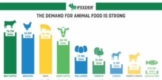 Over One-Third of Animal Diets in the U.S. Comprise Circular Ingredients