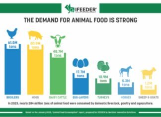 Over One-Third of Animal Diets in the U.S. Comprise Circular Ingredients