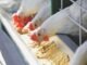 Evaluation of Fats and Oils in Poultry Feed