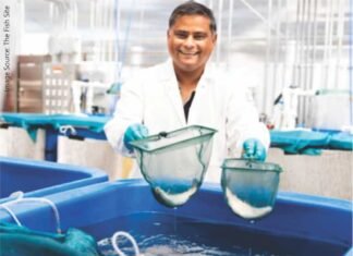 Research on Breaking the Fishmeal Dependency
