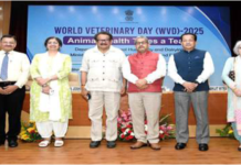 World Veterinary Day 2025: National Workshop in New Delhi Honours Veterinarians behind India’s Livestock Powerhouse