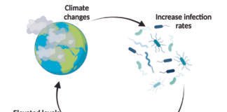 Effect of Climate Change on Food Security of Dairy Animals and Their Performance