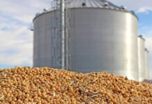 Soybean Stocks Drop to 48 35 Lakh Tonnes in India