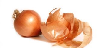 Onion Peel Feed Additive Reduces Methane in Dairy Cows