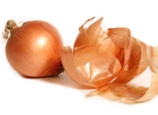 Onion Peel Feed Additive Reduces Methane in Dairy Cows