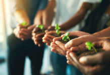 MSP Dilemma: Boosting Farmer Income vs. Burdening Downstream Industries