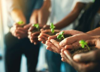 MSP Dilemma: Boosting Farmer Income vs. Burdening Downstream Industries