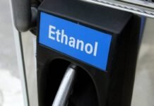 India’s Ethanol Boom Fuels Surge in DDGS Exports