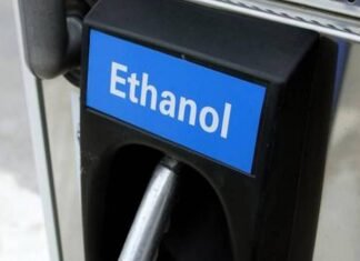 India’s Ethanol Boom Fuels Surge in DDGS Exports