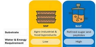 Solid State Fermentation: A Step towards Sustainable Production