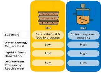 Solid State Fermentation: A Step towards Sustainable Production