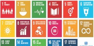 The Indispensable Link: How Biologicals and Biosecurity Drive Global Sustainability