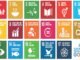 The Indispensable Link: How Biologicals and Biosecurity Drive Global Sustainability