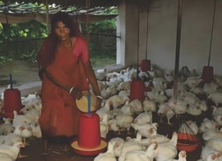 Can NSPDT be the AMUL of Indian Poultry?