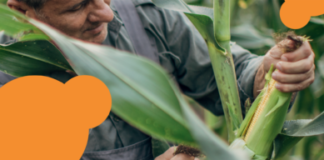 Mycotoxin Survey: Asia Findings