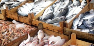 India Looks to Japan, China and UK to Grow Seafood Market After US Tariff