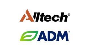 ADM, Alltech to bring together unparalleled expertise and experience in new North American animal feed joint venture