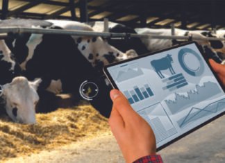 Precision Nutrition is the Key to Sustainable Farming