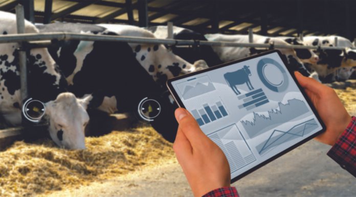 Precision Nutrition is the Key to Sustainable Farming