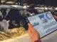 Precision Nutrition is the Key to Sustainable Farming