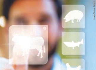 Recent Innovations in Feed Micronutrition