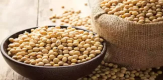 Oilmeal Exports Stay Flat in H1 FY2025-26 Despite Strong September Surge