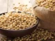 India’s Oilmeal Exports Dip 12% in August Amid Soybean Meal Slowdown