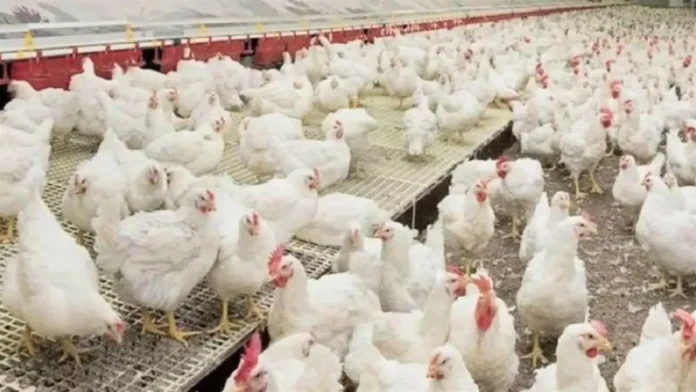 10_09_2025-1111_24042675-1757522137091